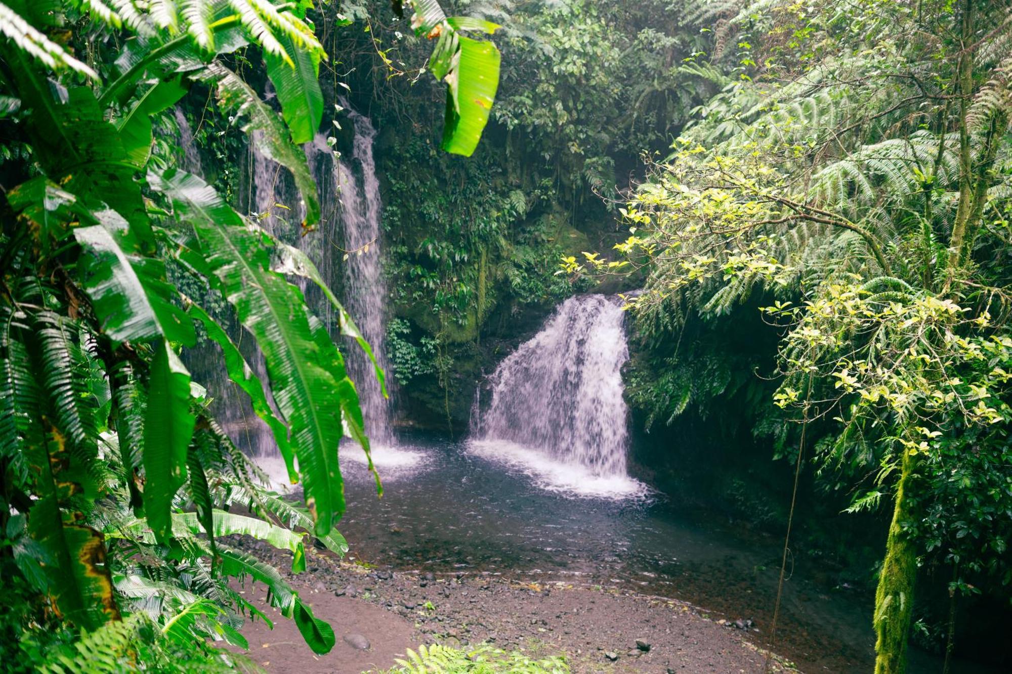 Santya Loka Lodge & Twin Waterfall Jatiluwih Esterno foto