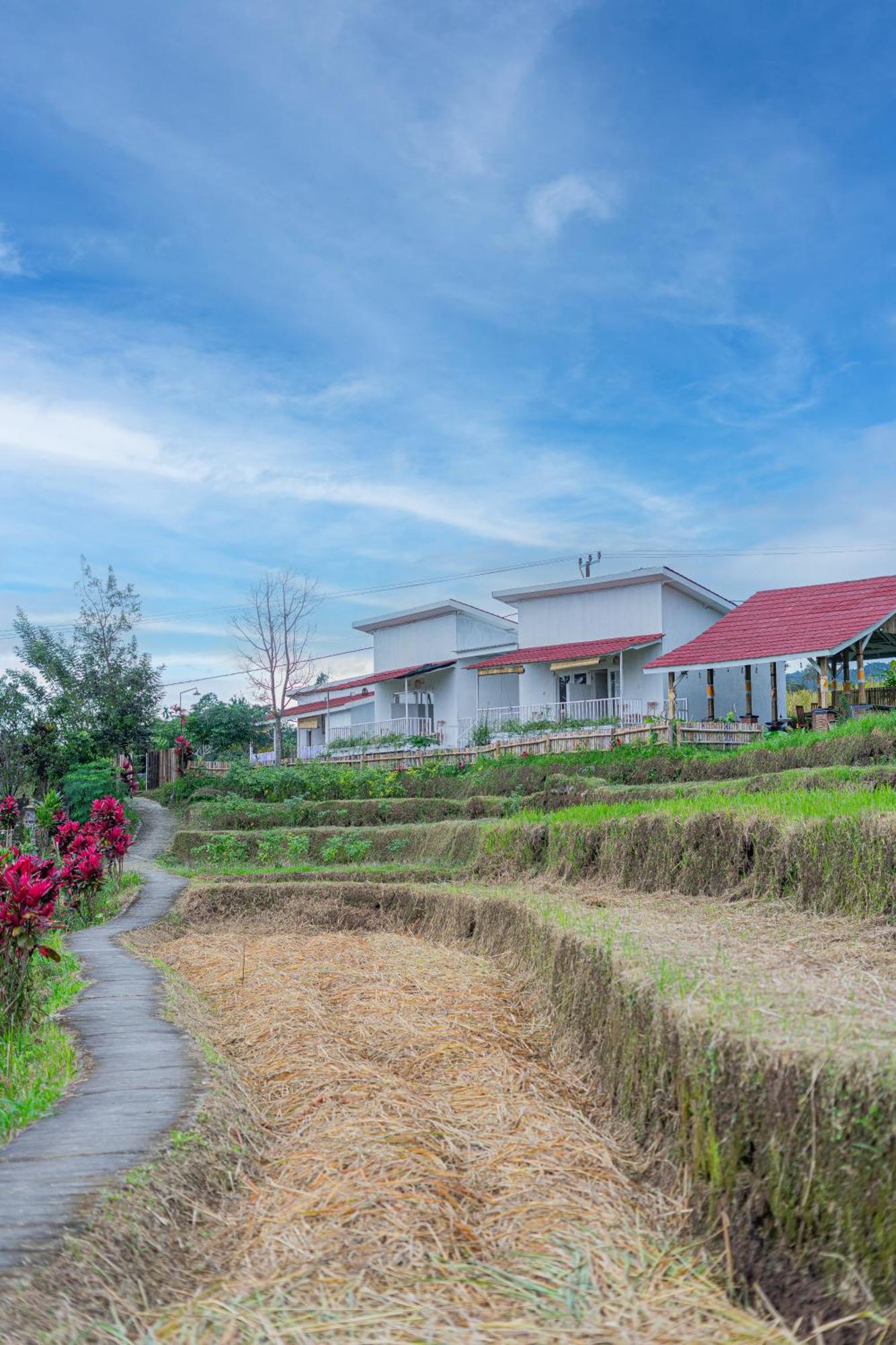 Santya Loka Lodge & Twin Waterfall Jatiluwih Esterno foto