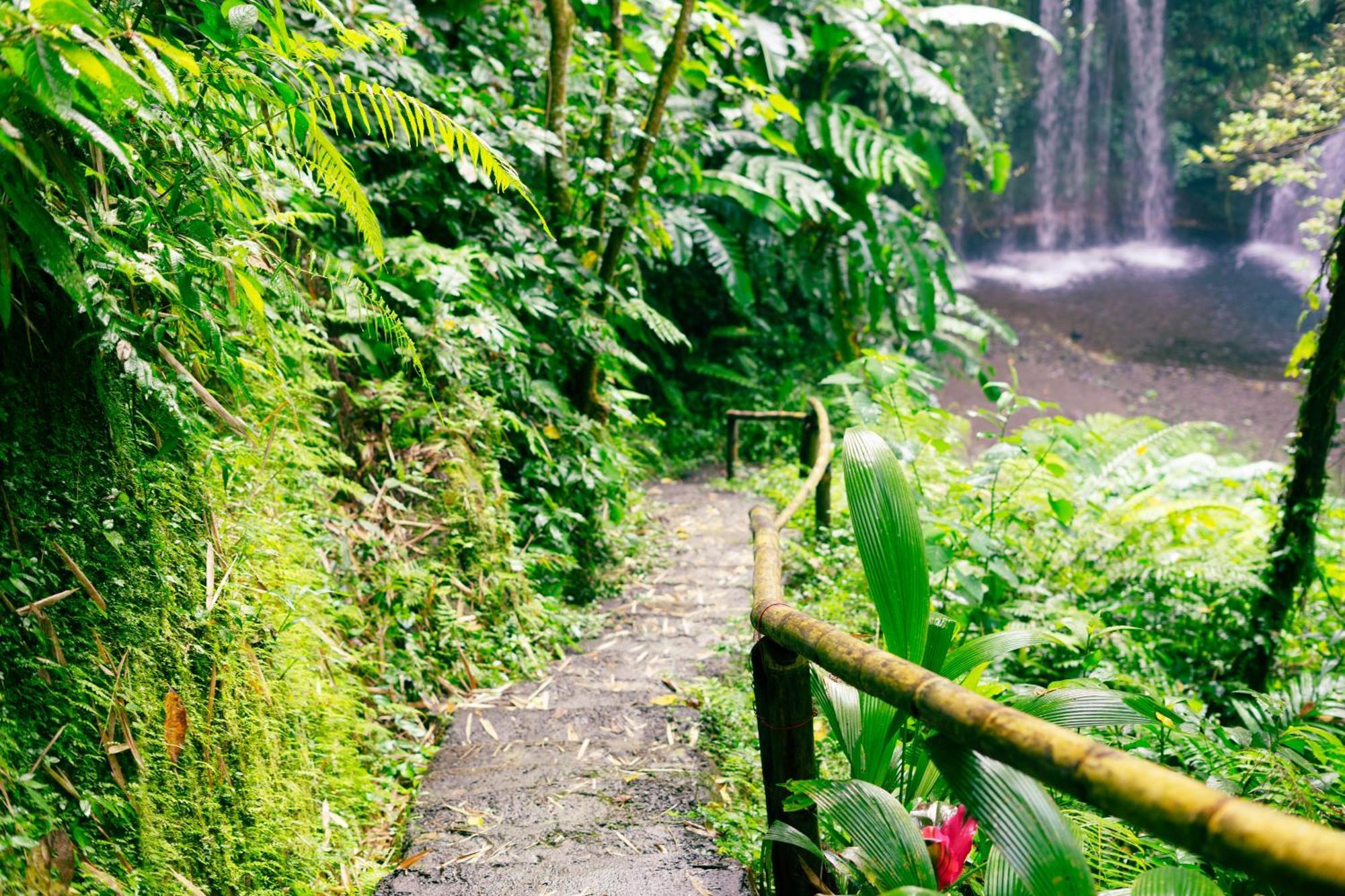 Santya Loka Lodge & Twin Waterfall Jatiluwih Esterno foto