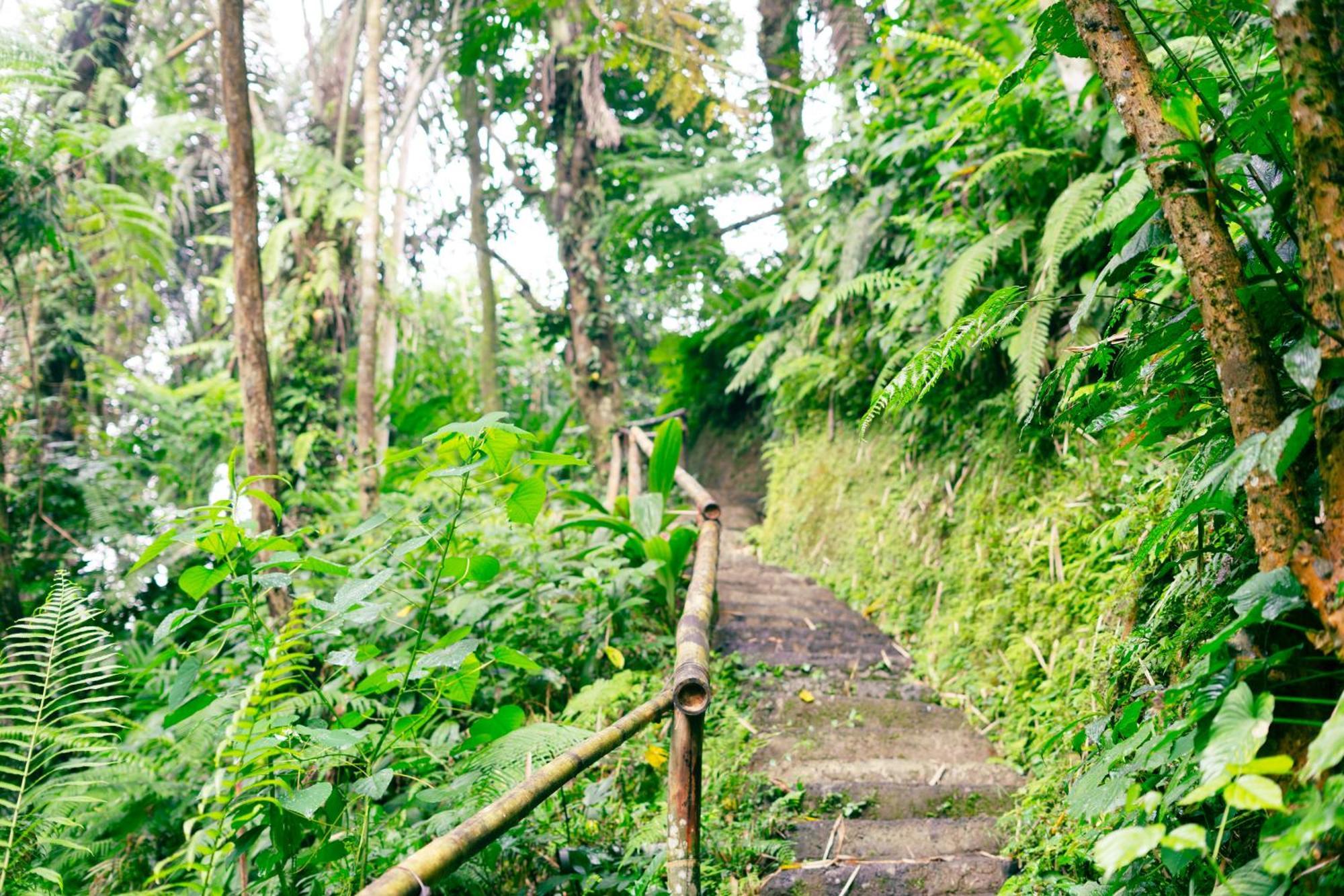 Santya Loka Lodge & Twin Waterfall Jatiluwih Esterno foto