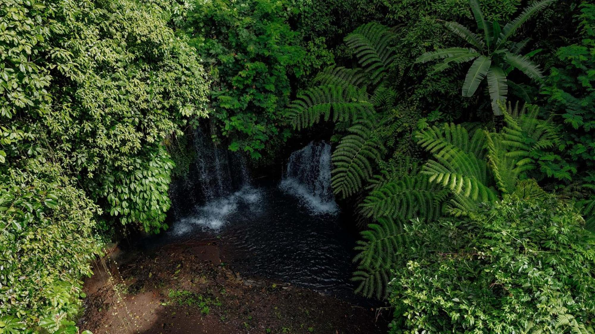 Santya Loka Lodge & Twin Waterfall Jatiluwih Esterno foto