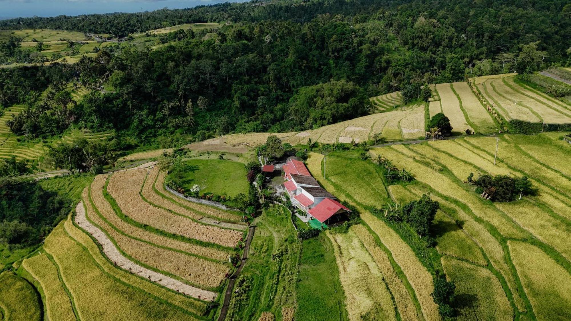 Santya Loka Lodge & Twin Waterfall Jatiluwih Esterno foto