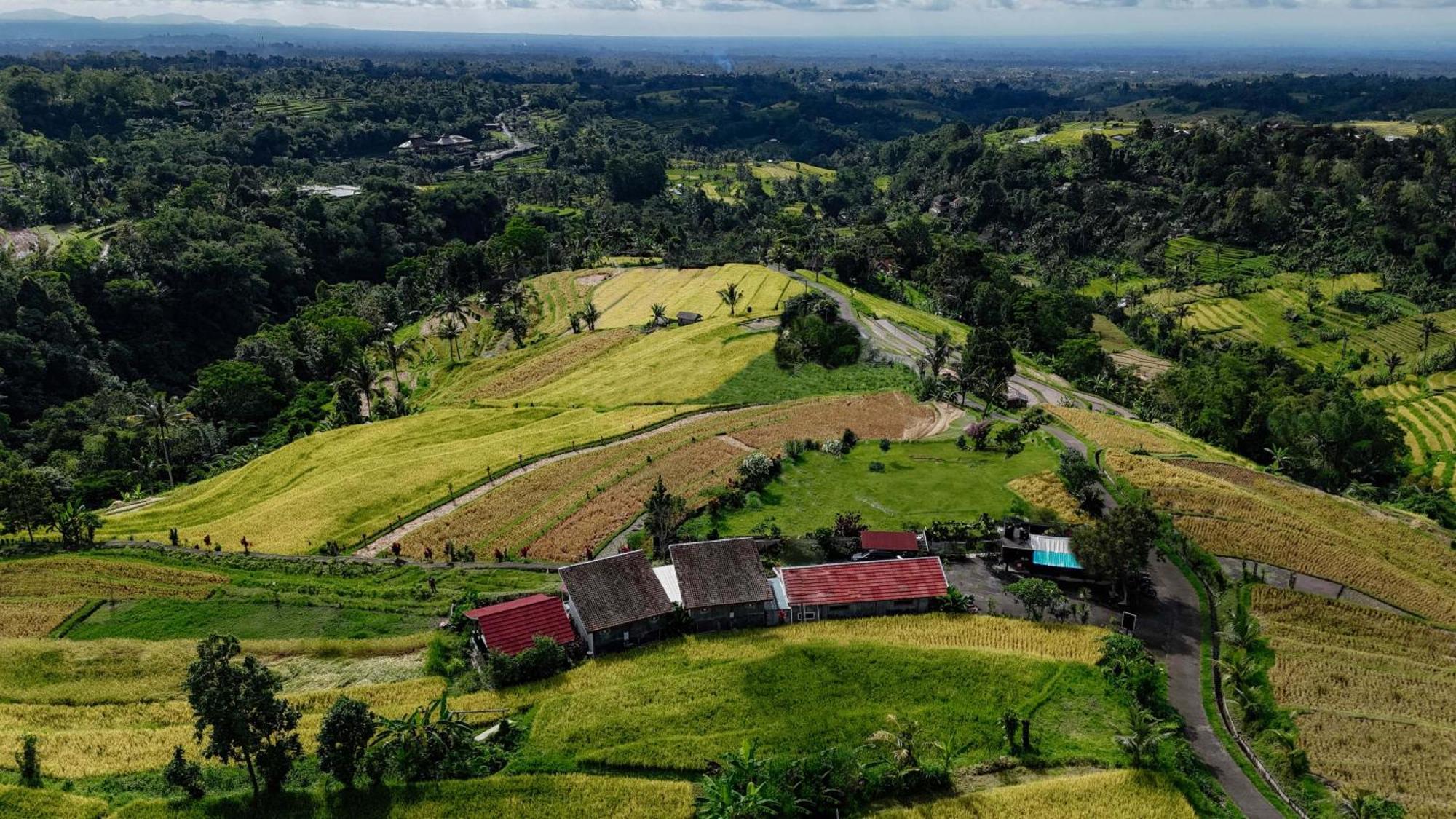 Santya Loka Lodge & Twin Waterfall Jatiluwih Esterno foto