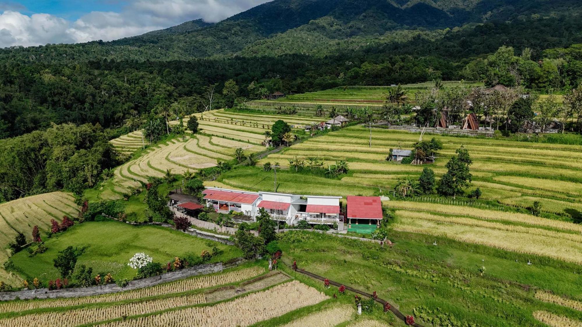 Santya Loka Lodge & Twin Waterfall Jatiluwih Esterno foto