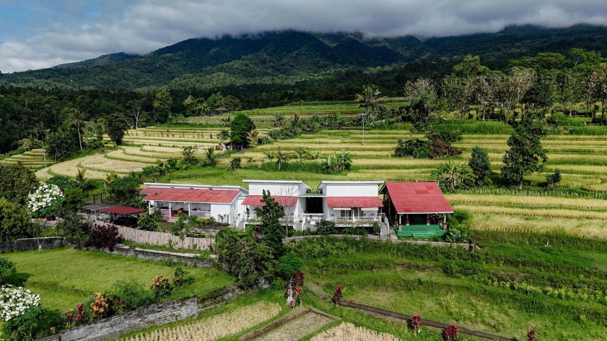 Santya Loka Lodge & Twin Waterfall Jatiluwih Esterno foto