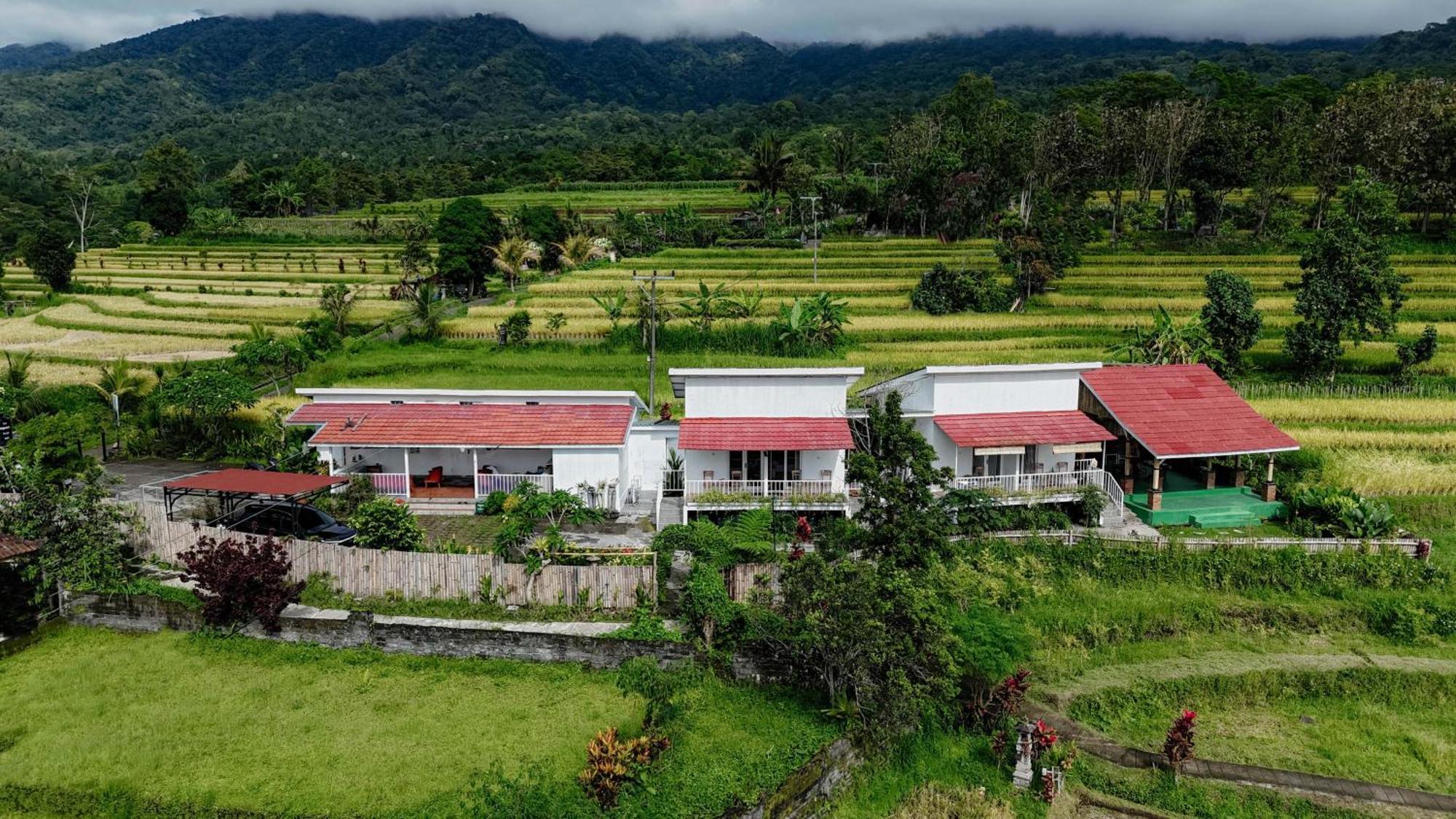 Santya Loka Lodge & Twin Waterfall Jatiluwih Esterno foto