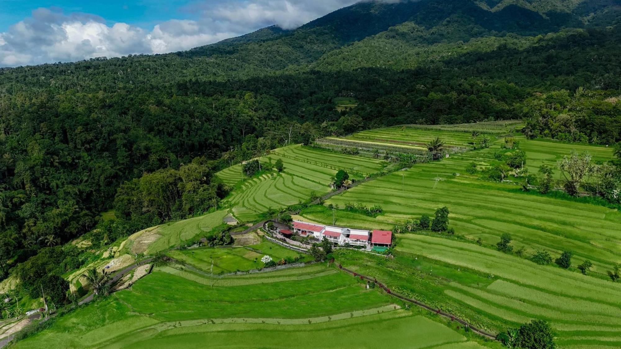 Santya Loka Lodge & Twin Waterfall Jatiluwih Esterno foto